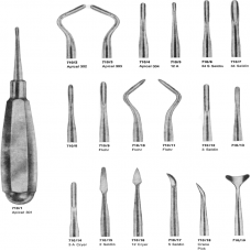 Apical Root Elevator 301